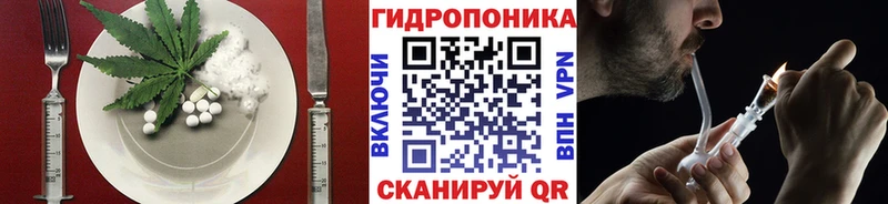 Купить закладки  Ельня  Cannafood марихуана 