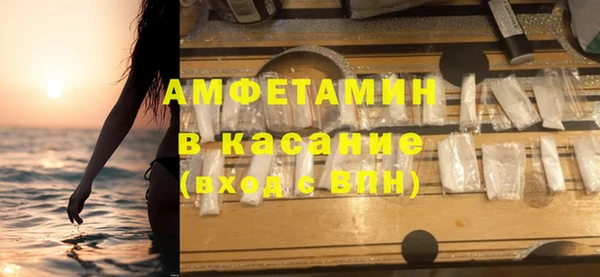 прущие грибы Каменногорск