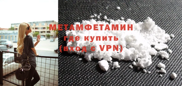 прущие грибы Каменногорск