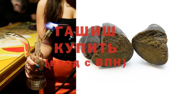 прущие грибы Каменногорск
