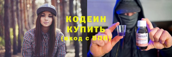 прущие грибы Каменногорск