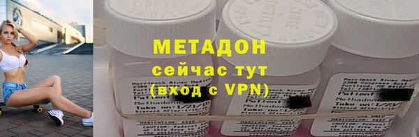 прущие грибы Каменногорск