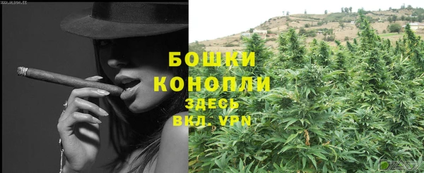 прущая мука Каменка