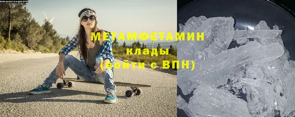 прущие грибы Каменногорск