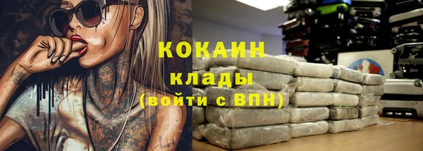 прущая мука Каменка