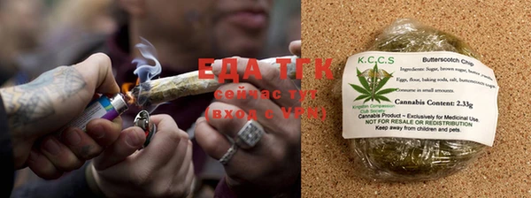 прущие грибы Каменногорск