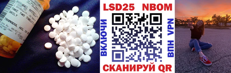 Купить закладки  Ельня  LSD-25 экстази ecstasy 