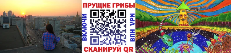 Галлюциногенные грибы GOLDEN TEACHER  Купить закладки  Ельня 